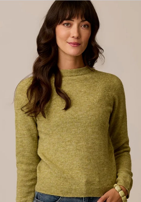 The Cozy Sweater