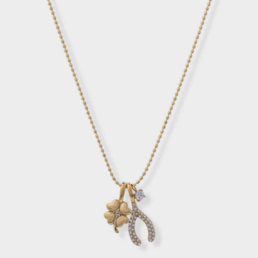 Lucky Wish Necklace