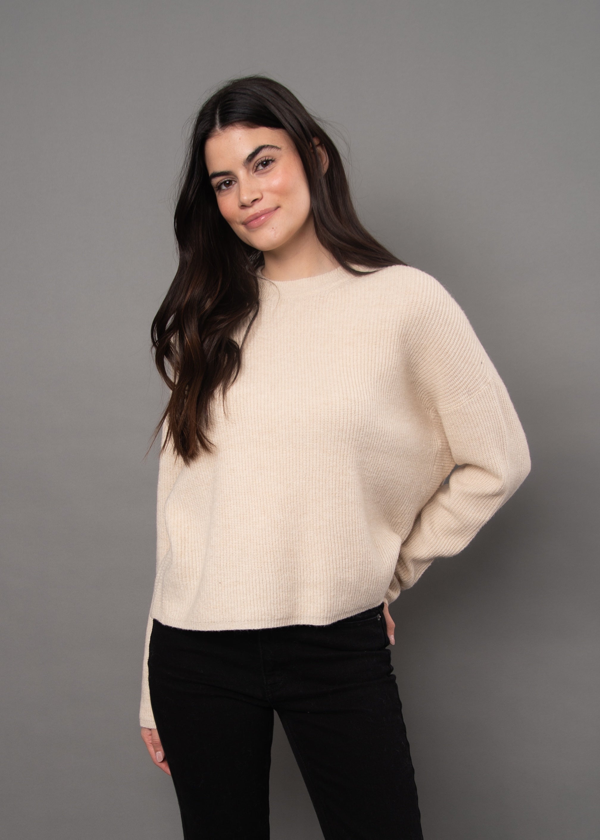 Maheen Long Sleeve Crewneck Pullover