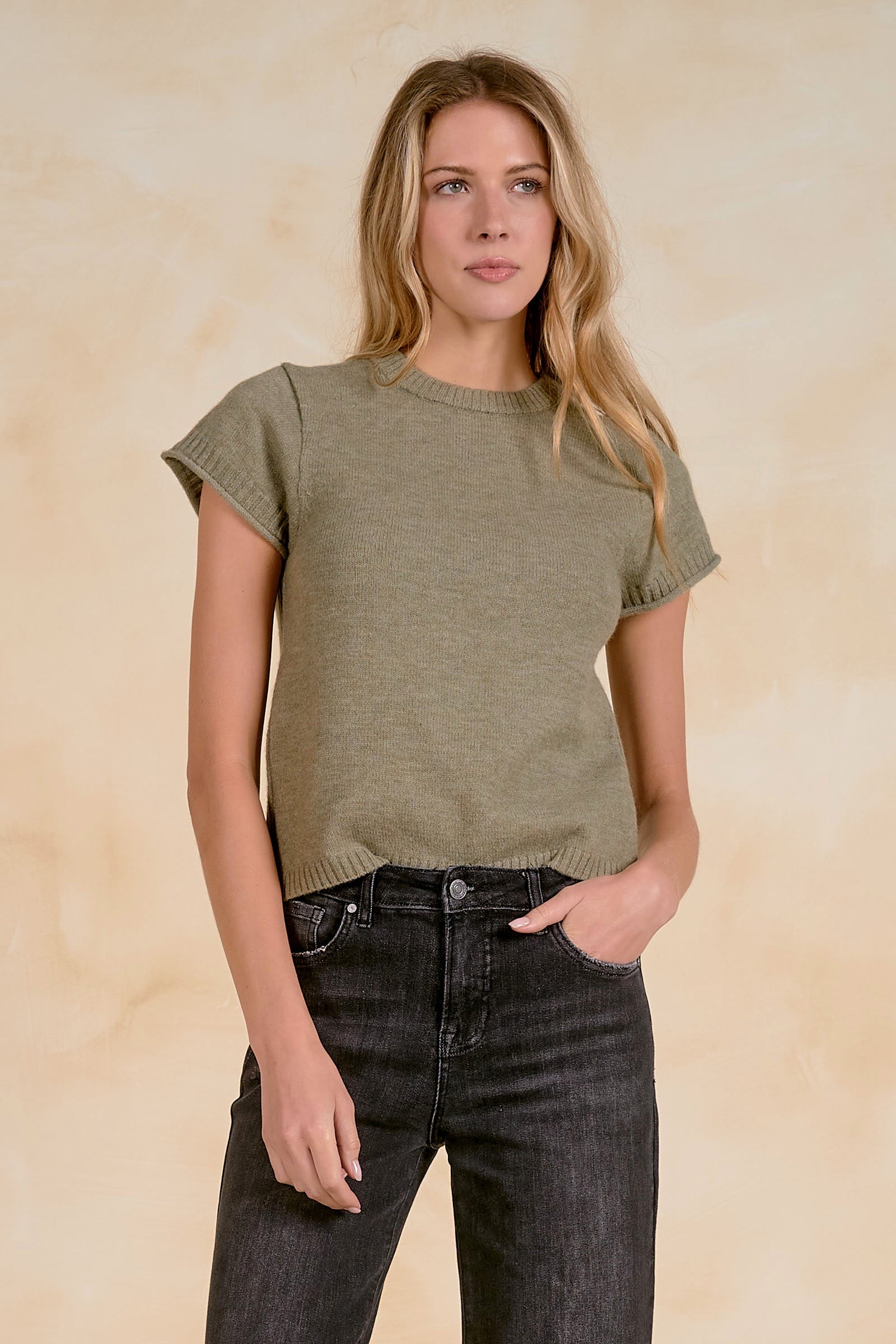 Short Sleeve Sweater Crewneck